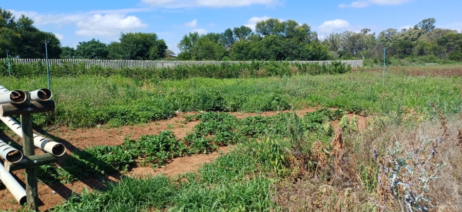 3 Bedroom Property for Sale in Oudorp North West